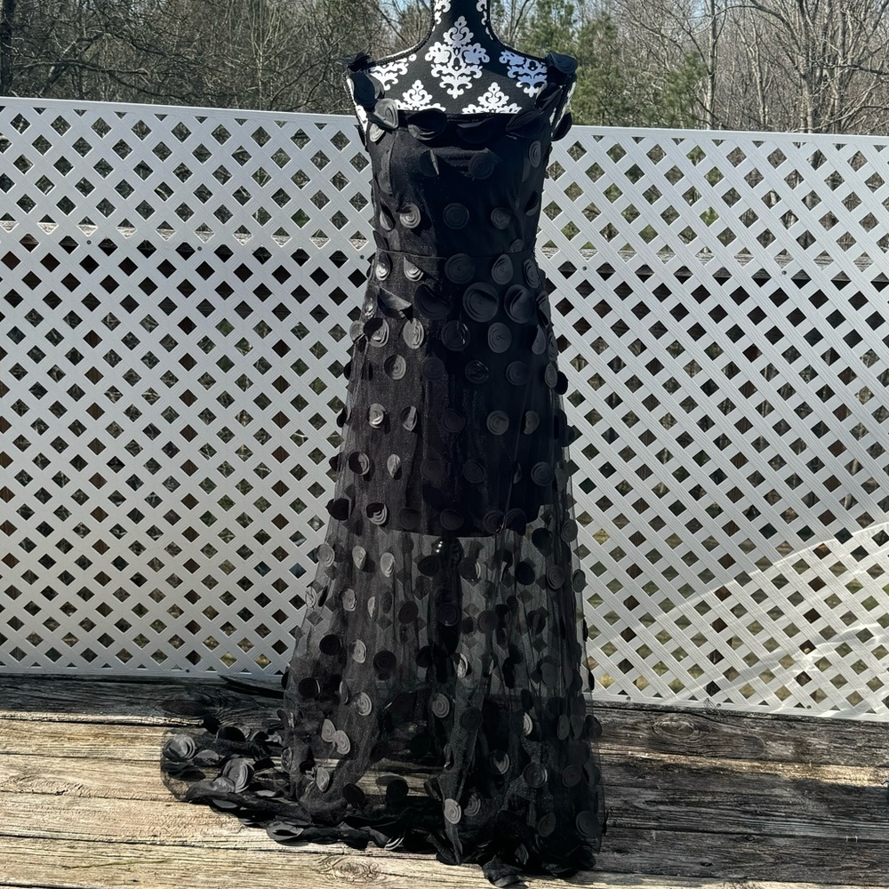 Blithe LA Polka Dot Sheer Dress